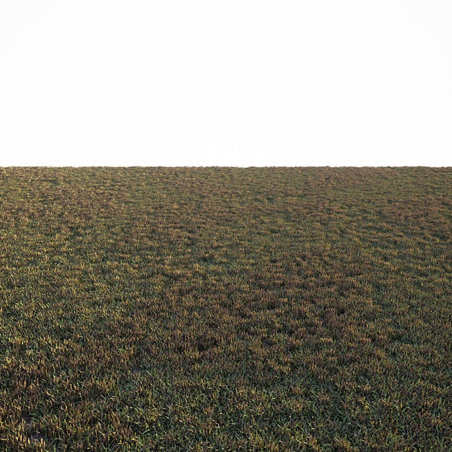 Free Grass Preset For FStorm Render From CGMood