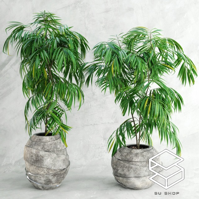 3d Plant Model 41 Free Download