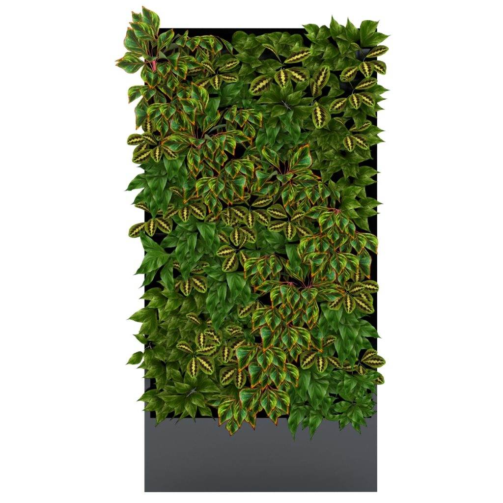 3d plant wall Model 16 free download