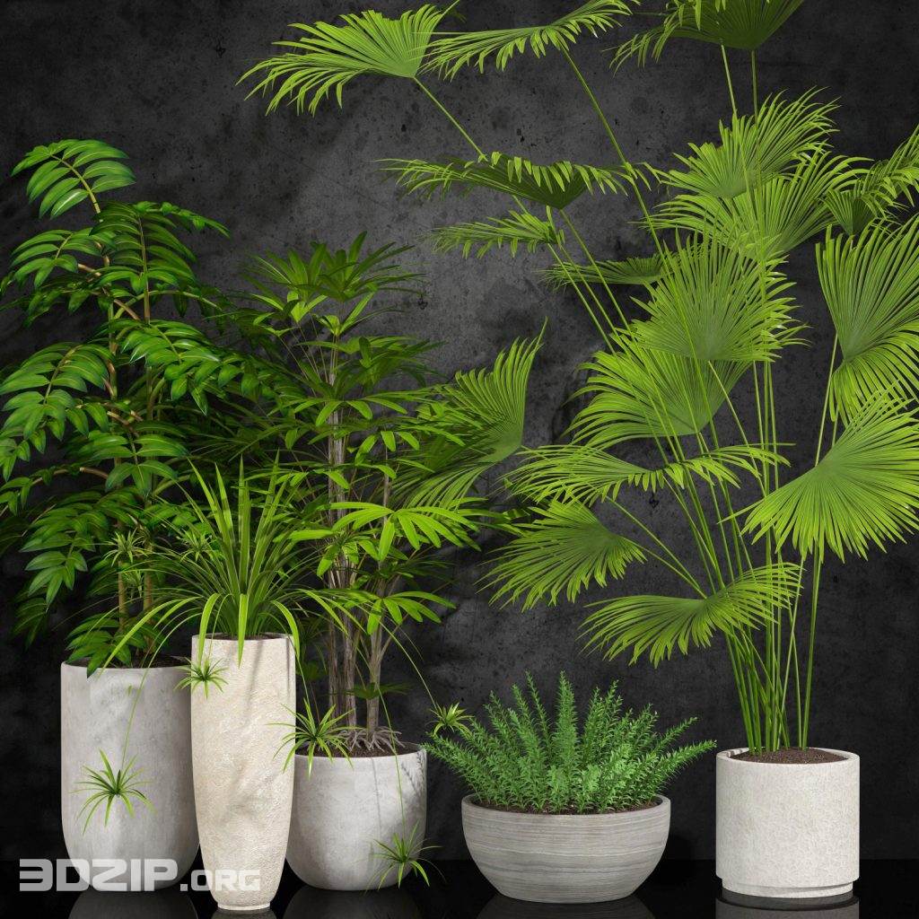 3D Plant Model 10 free download